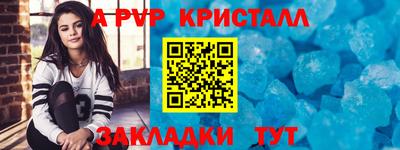 ECSTASY Новозыбков