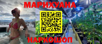 ECSTASY Новозыбков