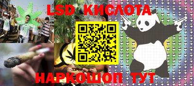 ECSTASY Новозыбков