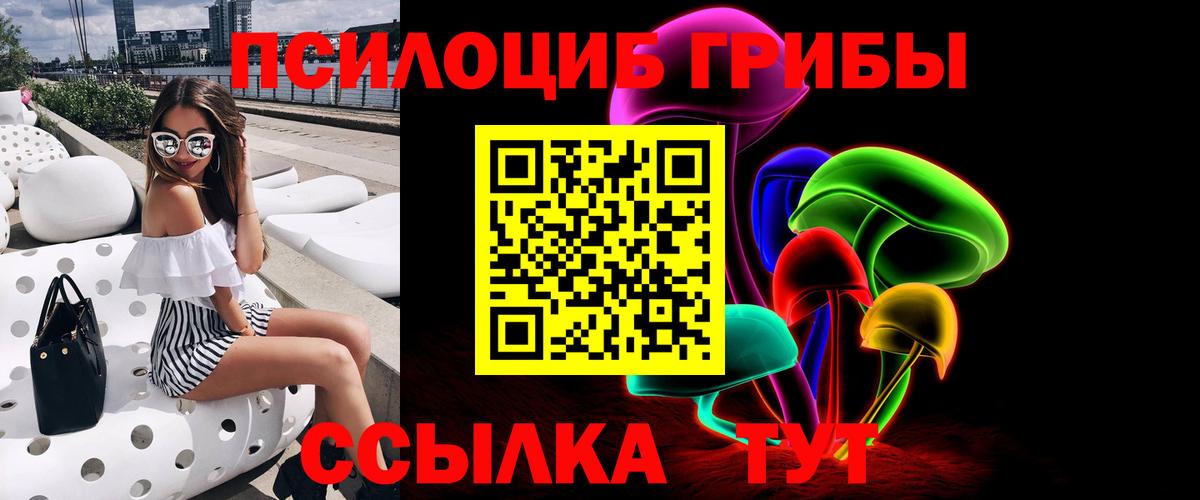 Галлюциногенные грибы Psilocybe  Вход с VPN  Сибай  закладка  Псилоцибиновые грибы Psilocybe 